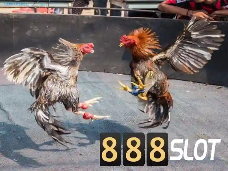 💎slots online casinos💎