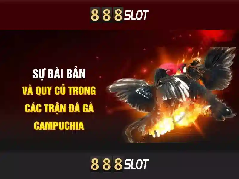💎vương triều xác sống: ashin phương bắc full💎