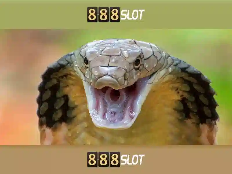 TAGS 💎888slot💎