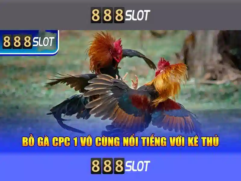 💎casino slots empire💎