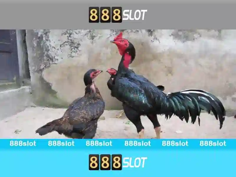 💎nhà cái 789bet az💎