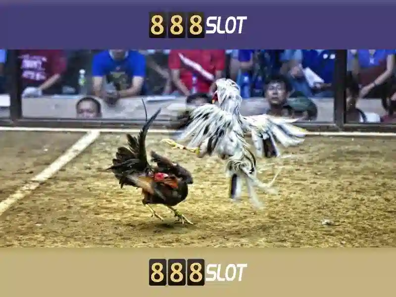 💎buy a bonus slots💎