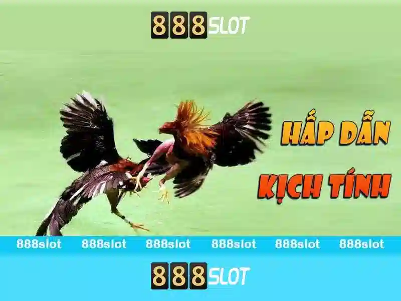 💎cuộc sống miền bắc💎