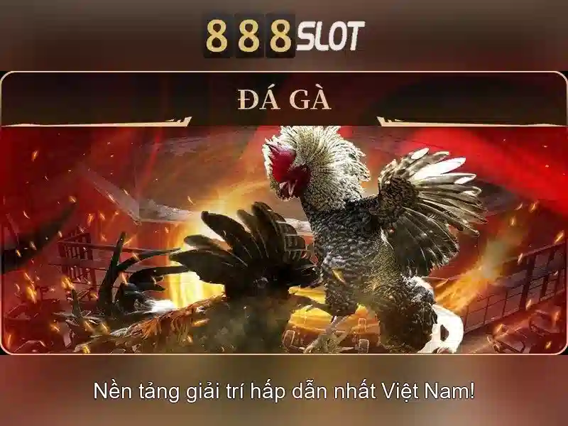 💎các loại kèo nhà cái💎