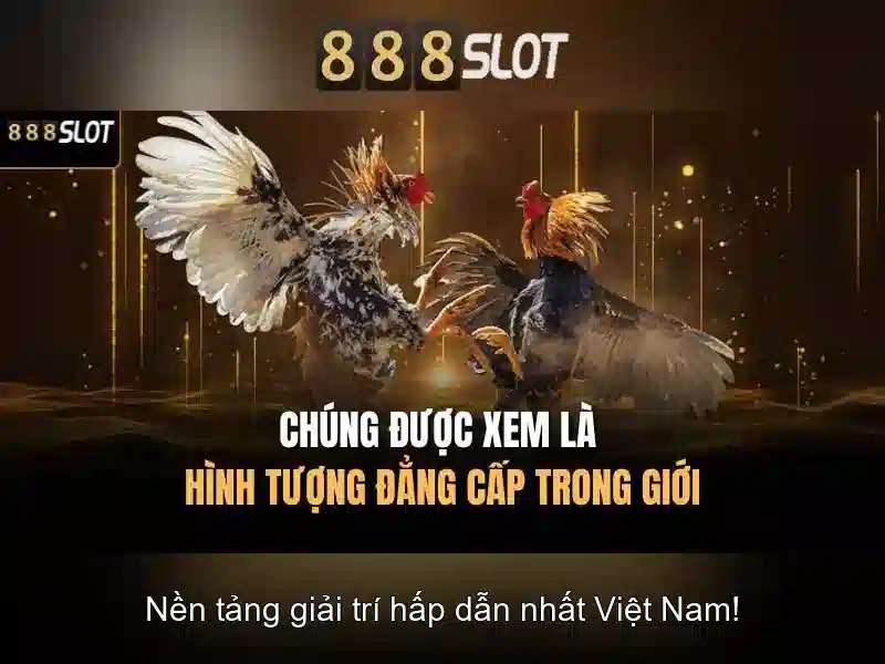 💎888 slot 178 money coming💎