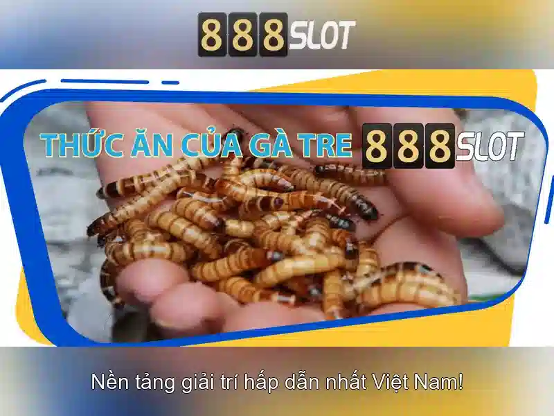 điều khoản Slot - 888slot