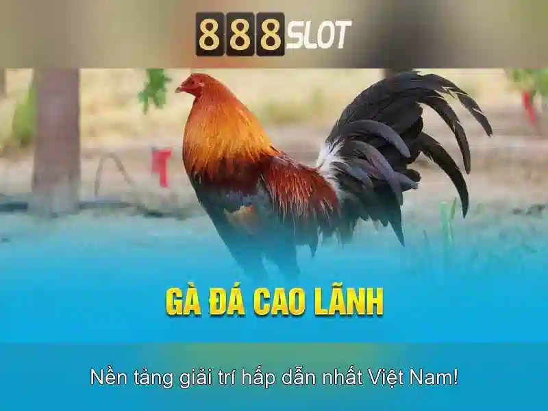 💎zbet68 - nhà cái hàng đầu châu mỹ💎
